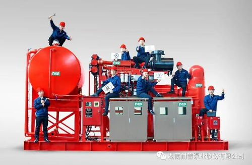 耐普泵業(yè)產(chǎn)品助力中國海洋裝備建設——中海油陸豐油田群區(qū)域開發(fā)項目柴油機消防泵組順利交付